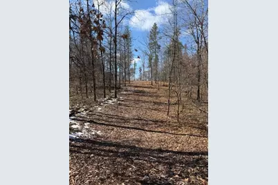 3713 Bay Drive, Webb Lake, WI 54830 - Photo 6