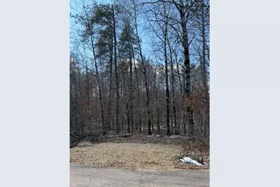 3713 Bay Drive, Webb Lake, WI 54830 - Photo 2