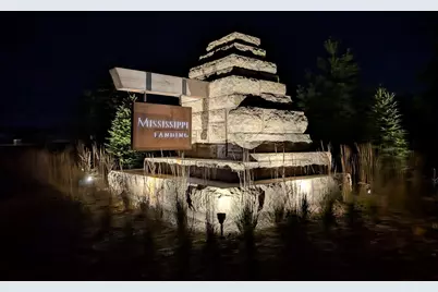 10520 Goodview Avenue S, Cottage Grove, MN 55016 - Photo 16