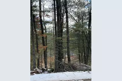 Tbd E Long Lake Road, Danbury, WI 54830 - Photo 6