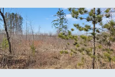 Tbd 513th Ave E, Tract E, Ottertail, MN 56571 - Photo 4