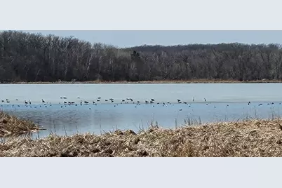 Tbd 513th Ave E, Tract E, Ottertail, MN 56571 - Photo 8