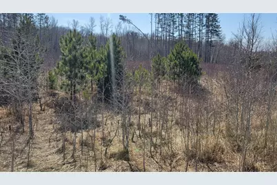 Tbd 513th Ave E, Tract E, Ottertail, MN 56571 - Photo 2