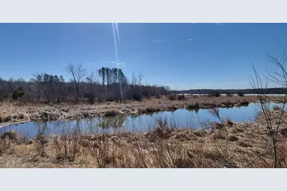 Tbd 513th Ave E, Tract E, Ottertail, MN 56571 - Photo 6