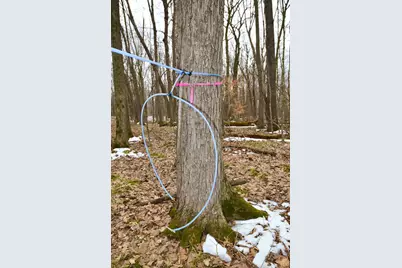 2250 Forest Shores Road, Ogilvie, MN 56358 - Photo 72