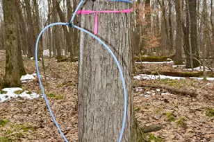 2250 Forest Shores Rd, Ogilvie, MN 56358 - Photo 72