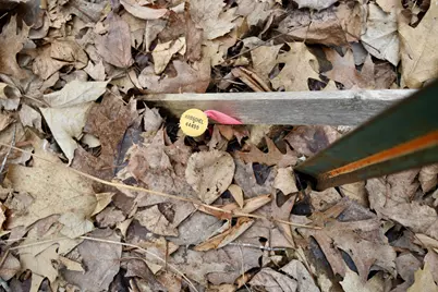 2250 Forest Shores Road, Ogilvie, MN 56358 - Photo 62