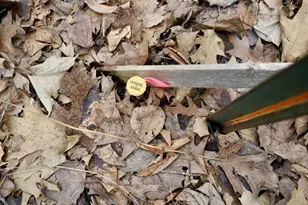 2250 Forest Shores Rd, Ogilvie, MN 56358 - Photo 62