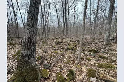 17700 County Road 41, Willow River, MN 55795 - Photo 12