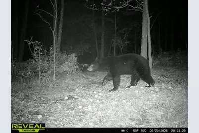 867 29th Avenue, Barronett, WI 54813 - Photo 44