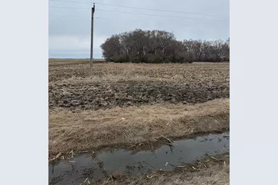 2084 440th Street, Campbell, MN 56522 - Photo 2