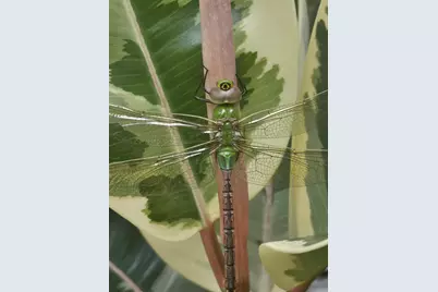 3231 Longfellow Avenue, Minneapolis, MN 55407 - Photo 34