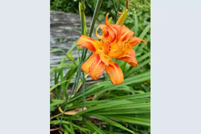 3231 Longfellow Avenue, Minneapolis, MN 55407 - Photo 42