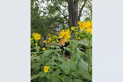 3231 Longfellow Avenue, Minneapolis, MN 55407 - Photo 40