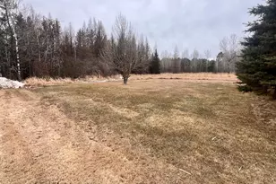 3907 Hartman Rd, Iron, MN 55751 - Photo 24