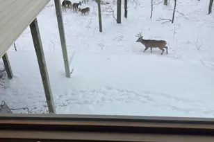 12516 225th Ct NW, Elk River, MN 55330 - Photo 52