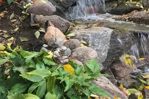 14837 Crestview Ave W, Rosemount, MN 55068 - Photo 34