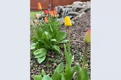 14837 Crestview Avenue W, Rosemount, MN 55068 - Photo 40