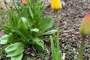 14837 Crestview Ave W, Rosemount, MN 55068 - Photo 40