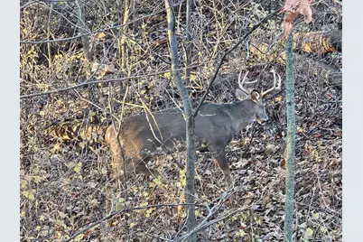 27380 Sevastopol Road, Red Wing, MN 55066 - Photo 12