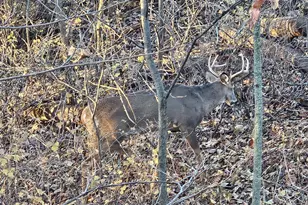 27380 Sevastopol Rd, Red Wing, MN 55066 - Photo 12