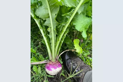 27380 Sevastopol Road, Red Wing, MN 55066 - Photo 10