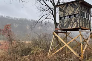 27380 Sevastopol Rd, Red Wing, MN 55066 - Photo 6