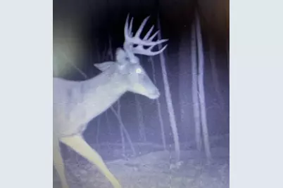 15576 263rd Street, Fort Ripley, MN 56449 - Photo 6