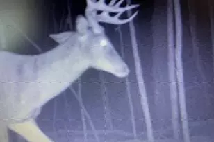 15576 263rd St, Fort Ripley, MN 56449 - Photo 6