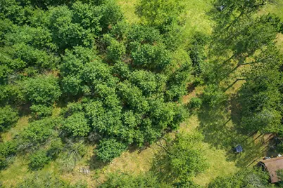 8Xx 207th Street, Dresser, WI 54009 - Photo 4