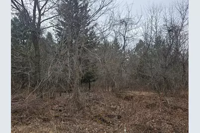 L11,B1 288th Ave Avenue NW, Zimmerman, MN 55398 - Photo 2