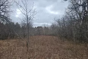 L11 B1 288th Ave Ave NW, Zimmerman, MN 55398 - Photo 1