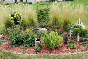 1309 Oriole Dr, Albert Lea, MN 56007 - Photo 6