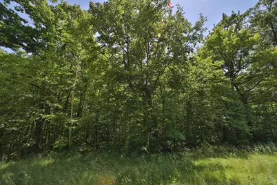 Tract D Olander Road, Crosby, MN 56441 - Photo 6