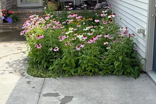 2341 Hillcrest Ln, Hawley, MN 56549 - Photo 38