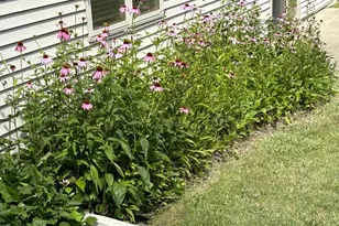 2341 Hillcrest Ln, Hawley, MN 56549 - Photo 36