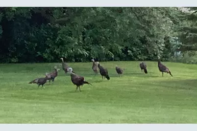 2341 Hillcrest Lane, Hawley, MN 56549 - Photo 42