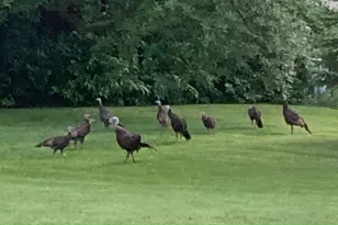 2341 Hillcrest Ln, Hawley, MN 56549 - Photo 42