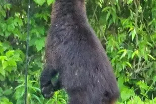 N10301 171st St, Boyceville, WI 54725 - Photo 36