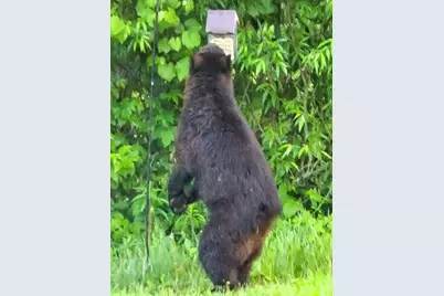 N10301 171st Street, Boyceville, WI 54725 - Photo 34