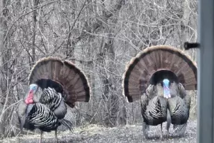 N10301 171st St, Boyceville, WI 54725 - Photo 34
