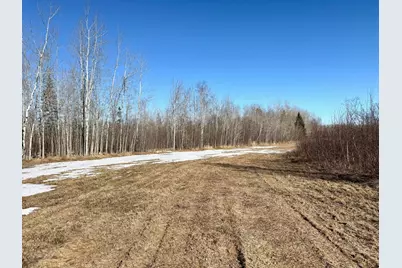 Tbd Tangnes Forest Road, Roosevelt, MN 56673 - Photo 26