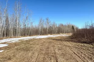 Tbd Tangnes Forest Rd, Roosevelt, MN 56673 - Photo 26