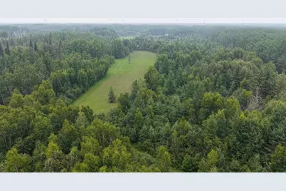 Tbd Tangnes Forest Road, Roosevelt, MN 56673 - Photo 4