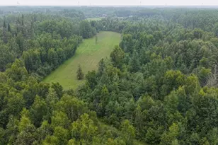 Tbd Tangnes Forest Rd, Roosevelt, MN 56673 - Photo 4