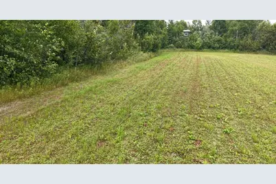 Tbd Tangnes Forest Road, Roosevelt, MN 56673 - Photo 20