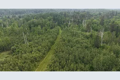 Tbd Tangnes Forest Road, Roosevelt, MN 56673 - Photo 22
