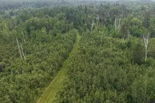 Tbd Tangnes Forest Rd, Roosevelt, MN 56673 - Photo 22