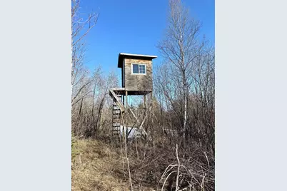 Tbd Tangnes Forest Road, Roosevelt, MN 56673 - Photo 24