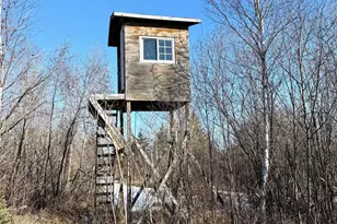 Tbd Tangnes Forest Rd, Roosevelt, MN 56673 - Photo 24